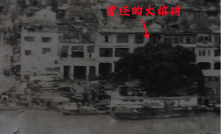 图片229.png