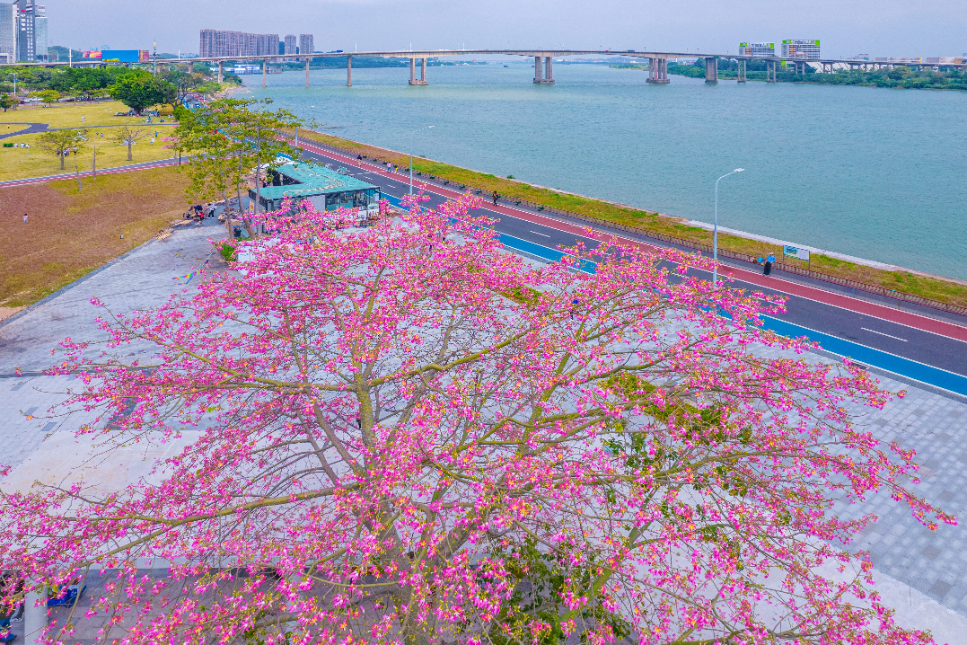 微信图片_20230105103338.png